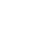 Yacht Week